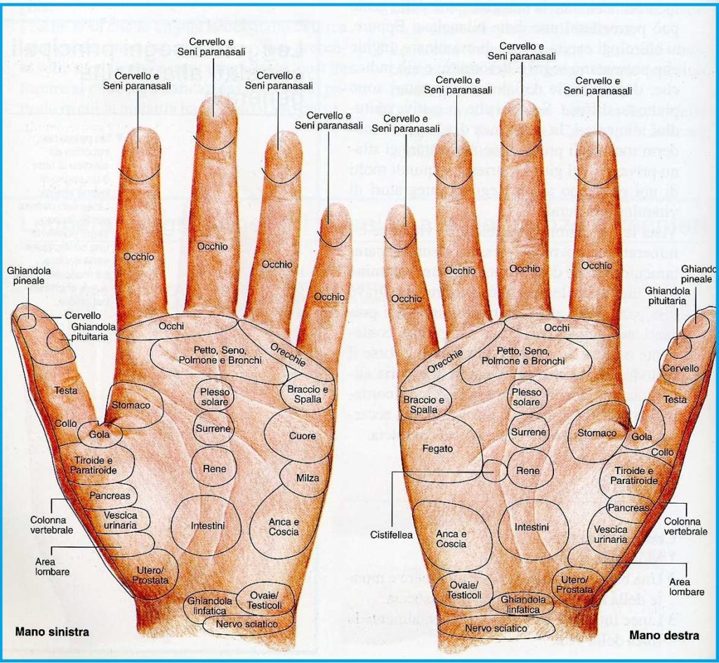 Significato Esoterico Delle Dita Della Mano mano3 | Touch Balance Technique™